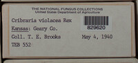 Image Associated With the Occurence
